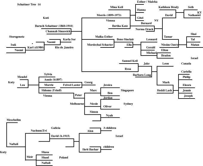 Page 14 Schattner
        Family Tree