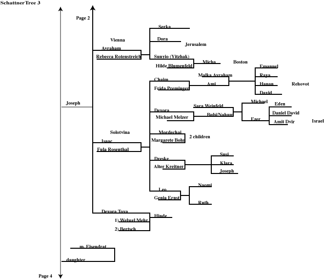 Page 2 Schattner
        Family Tree