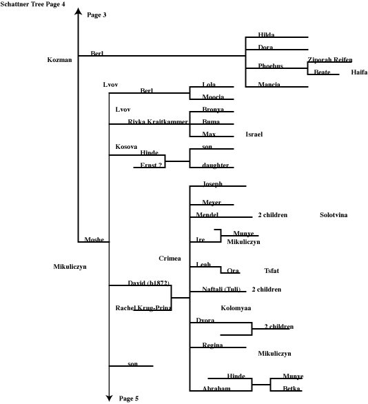 Page 4 Schattner
        Family Tree
