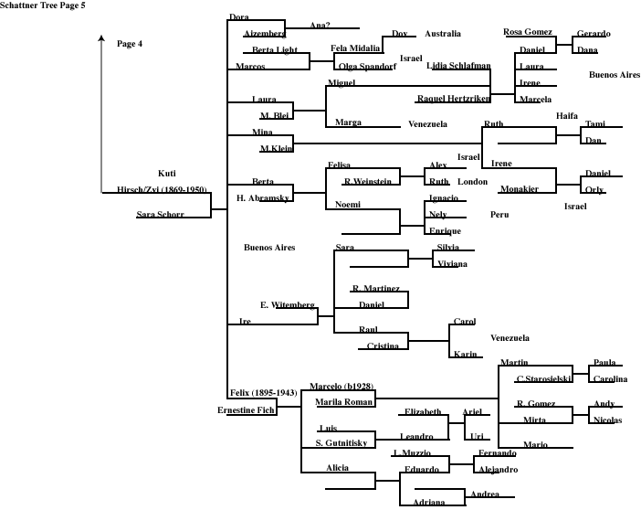 Page 5 Schattner
        Family Tree