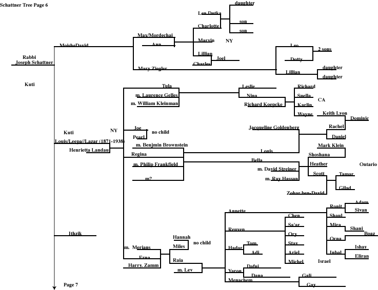 Page 6 Schattner
        Family Tree