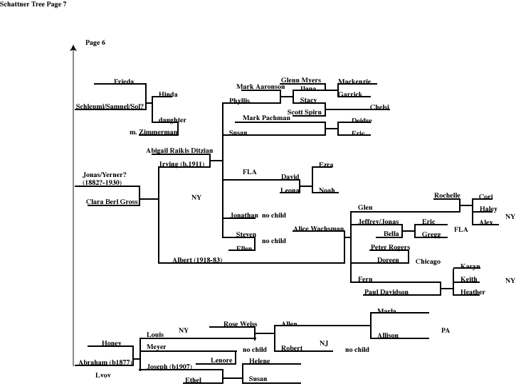 Page 7 Schattner
        Family Tree