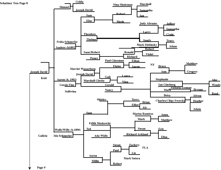 Page 8 Schattner
        Family Tree